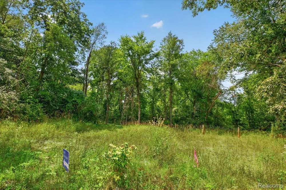 5000 Metamora Ridge Metamora Township, MI 48455