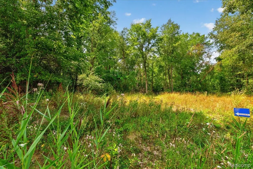 5000 Metamora Ridge Metamora Township, MI 48455