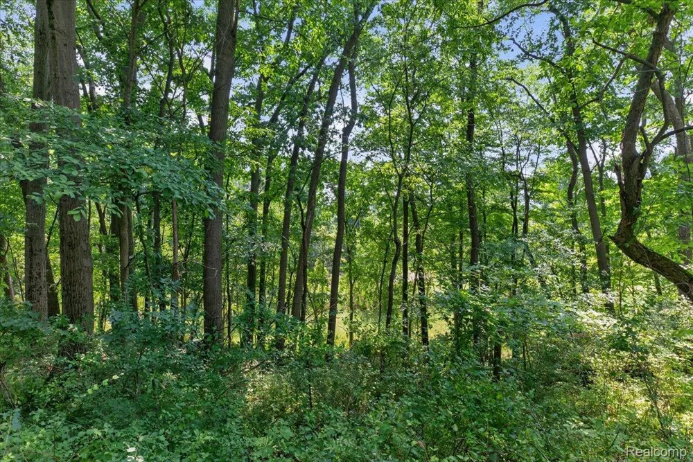 5000 Metamora Ridge Metamora Township, MI 48455