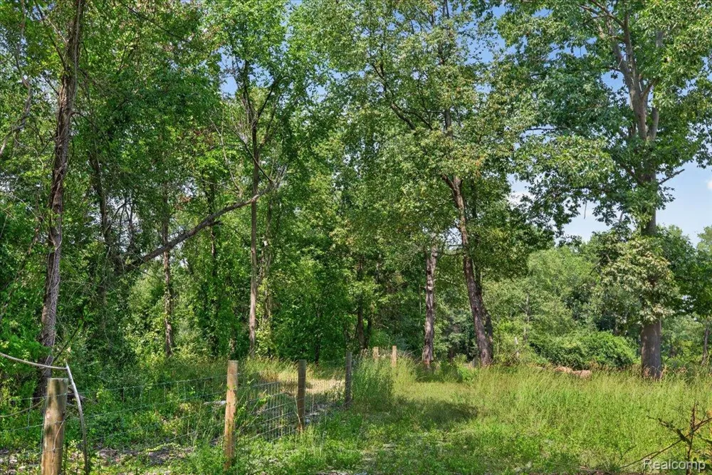 5000 Metamora Ridge Metamora Township, MI 48455
