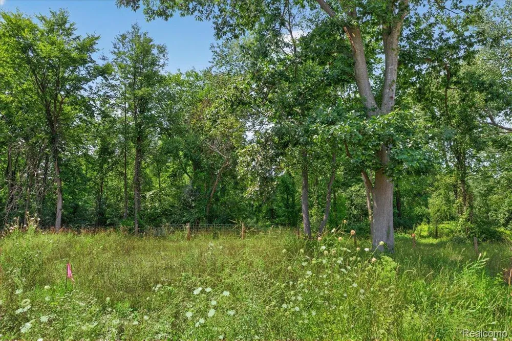 5000 Metamora Ridge Metamora Township, MI 48455