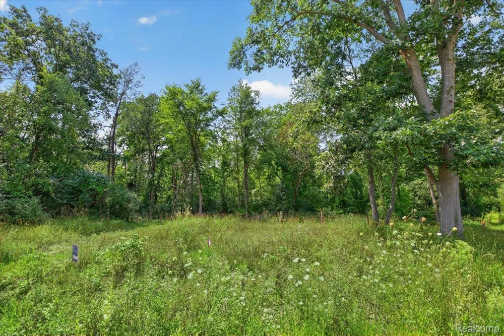 5000 Metamora Ridge Metamora Township, MI 48455