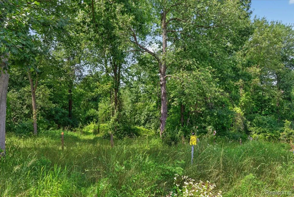 5000 Metamora Ridge Metamora Township, MI 48455