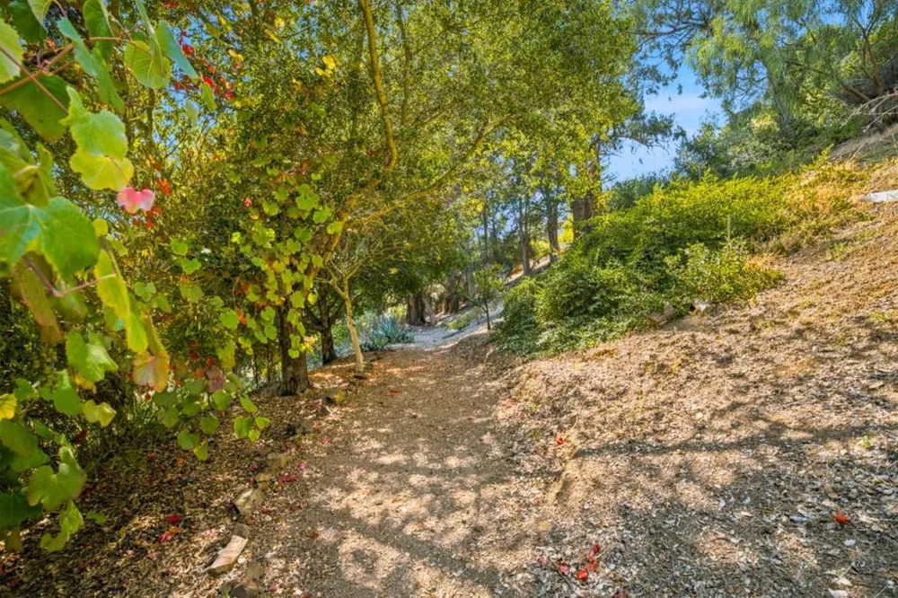 28009 Nob Hill Court Hayward, CA 94542