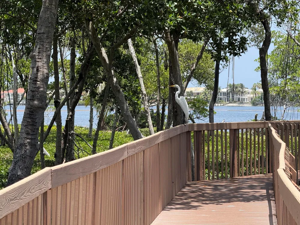 225 Lakeshore Drive Hypoluxo, FL 33462