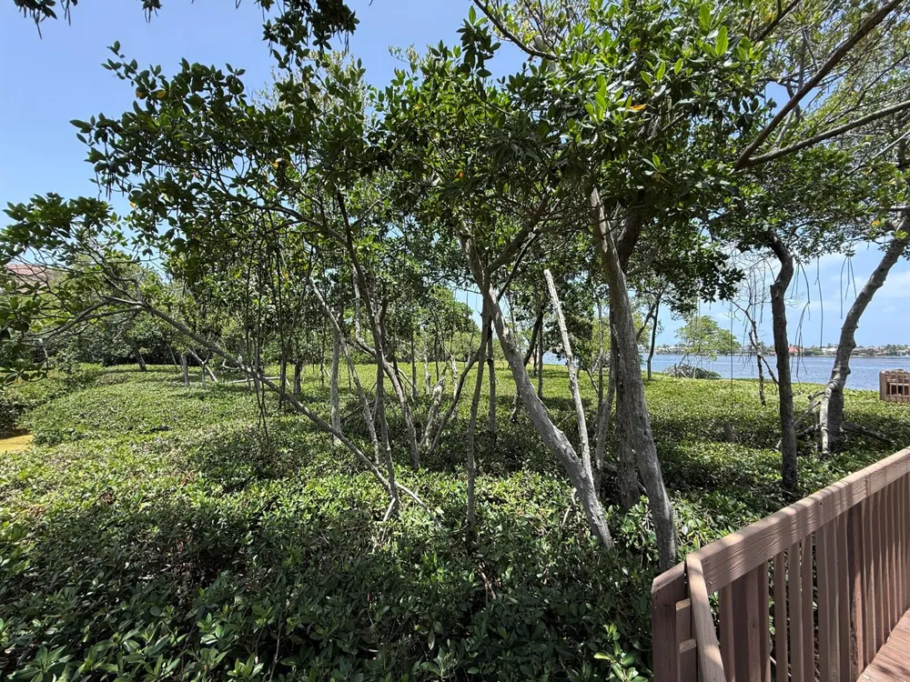 225 Lakeshore Drive Hypoluxo, FL 33462