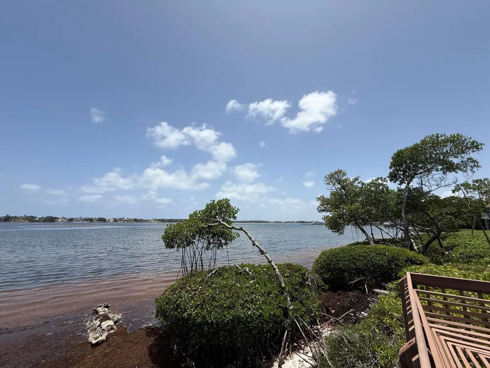 225 Lakeshore Drive Hypoluxo, FL 33462