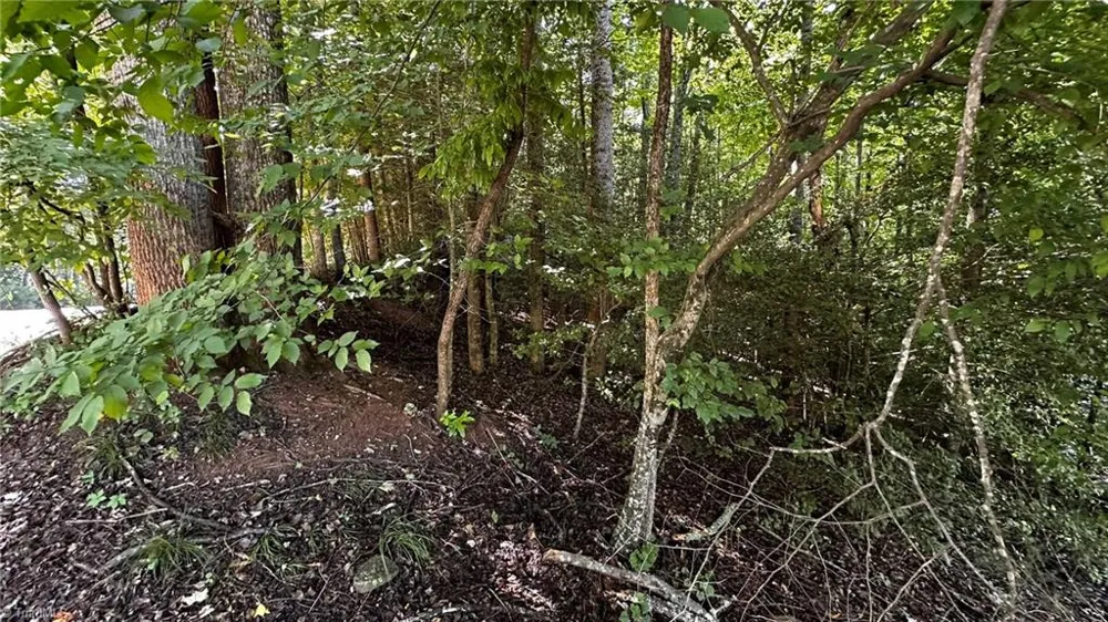 00A Higgins Road Wilkesboro, NC 28697