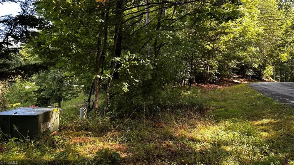 00A Higgins Road Wilkesboro, NC 28697