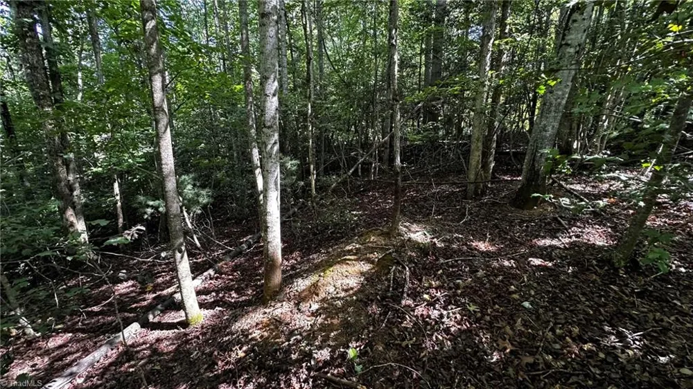 00A Higgins Road Wilkesboro, NC 28697