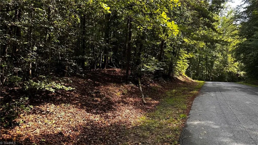 00A Higgins Road Wilkesboro, NC 28697