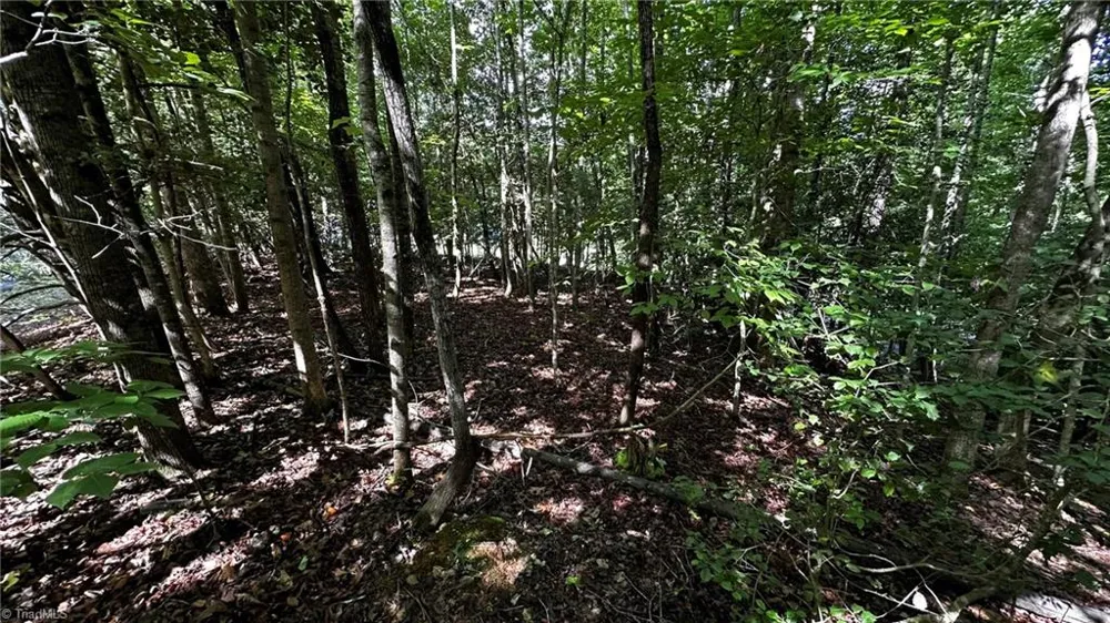 00A Higgins Road Wilkesboro, NC 28697