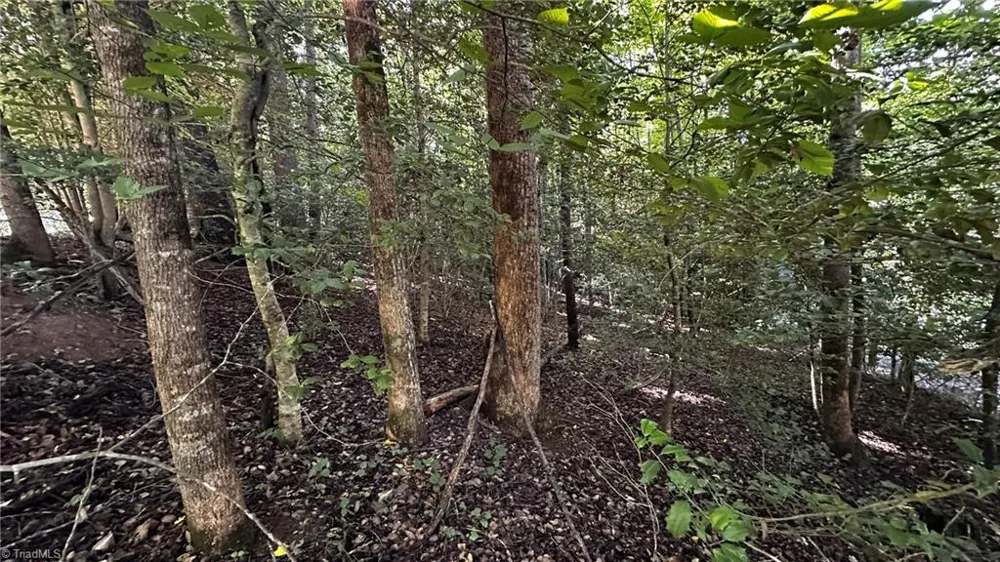 00A Higgins Road Wilkesboro, NC 28697
