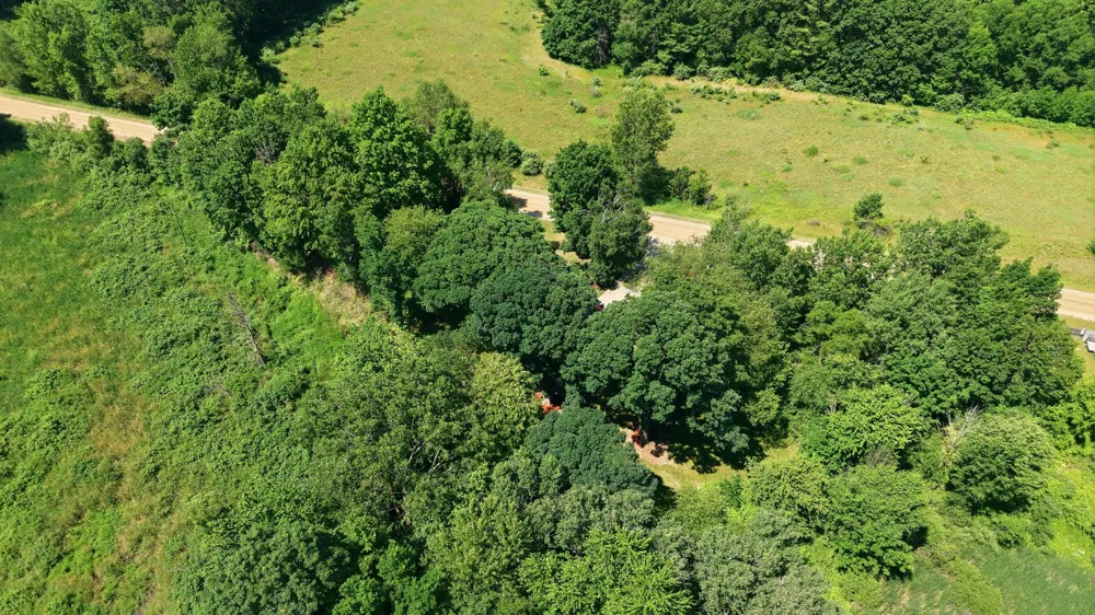 4050 Johnson Road Pine Township, MI 49322