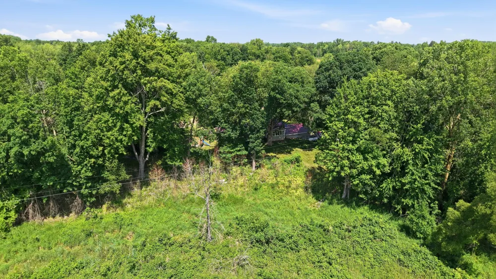 4050 Johnson Road Pine Township, MI 49322
