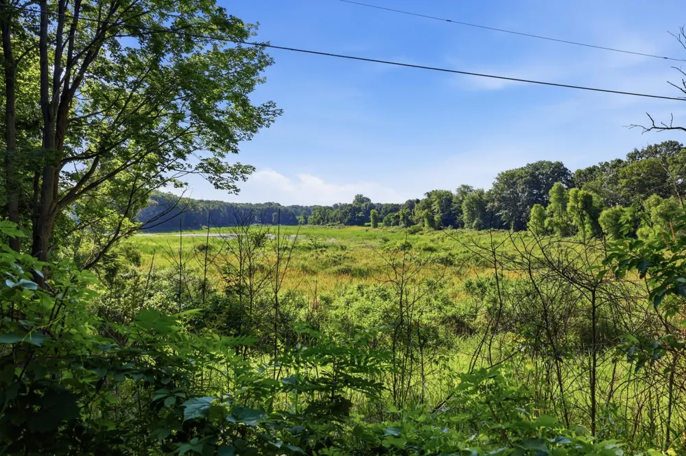 4050 Johnson Road Pine Township, MI 49322