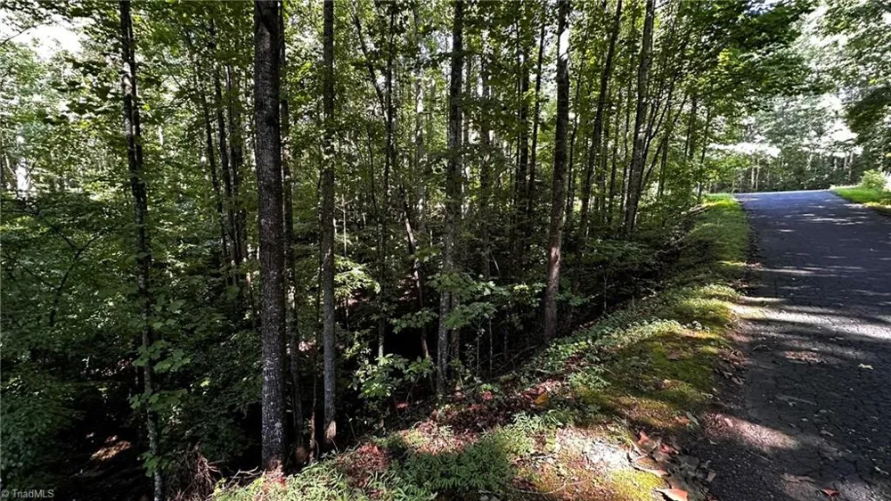 00B Higgins Road Wilkesboro, NC 28697
