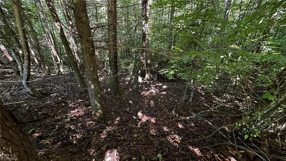 00B Higgins Road Wilkesboro, NC 28697