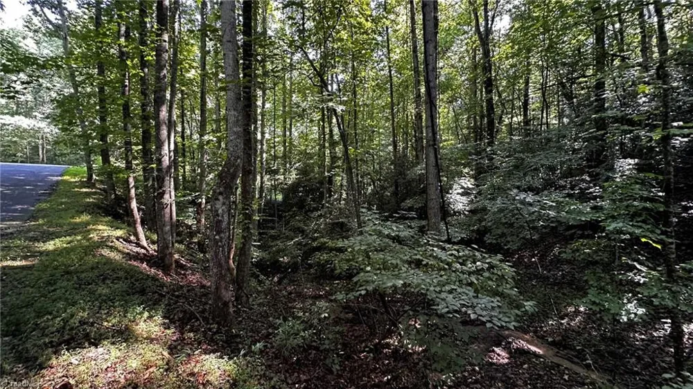 00C Higgins Road Wilkesboro, NC 28697