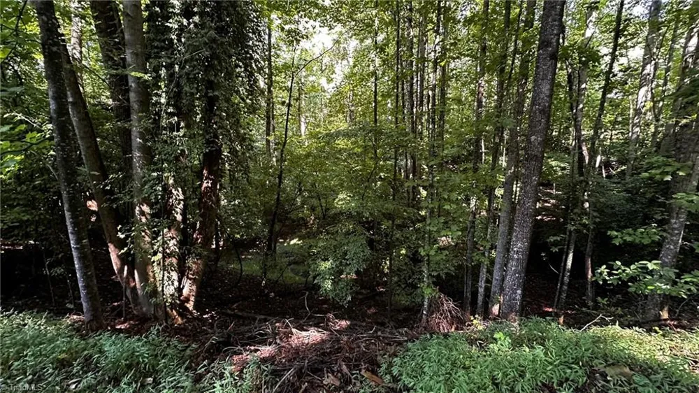 00C Higgins Road Wilkesboro, NC 28697