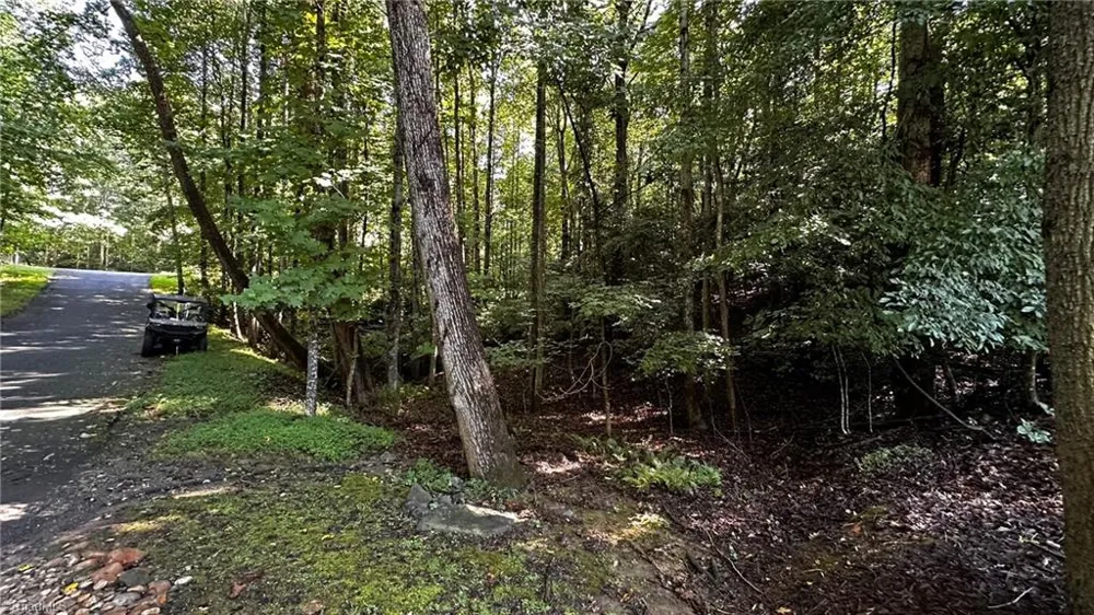 00C Higgins Road Wilkesboro, NC 28697
