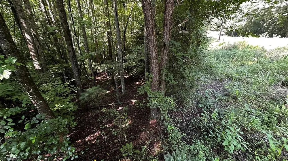 00C Higgins Road Wilkesboro, NC 28697