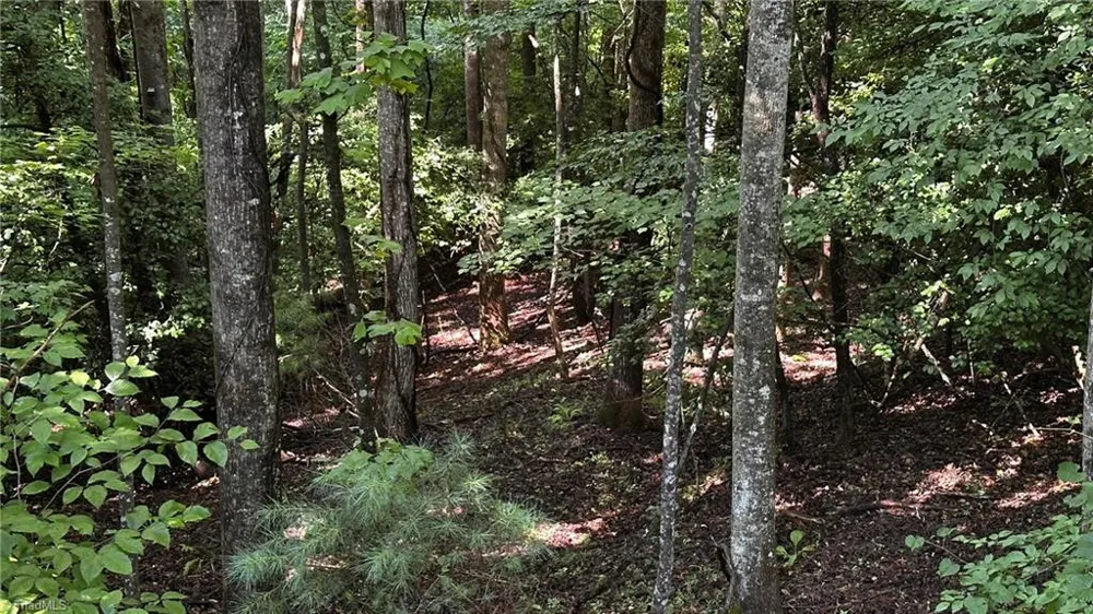 00C Higgins Road Wilkesboro, NC 28697