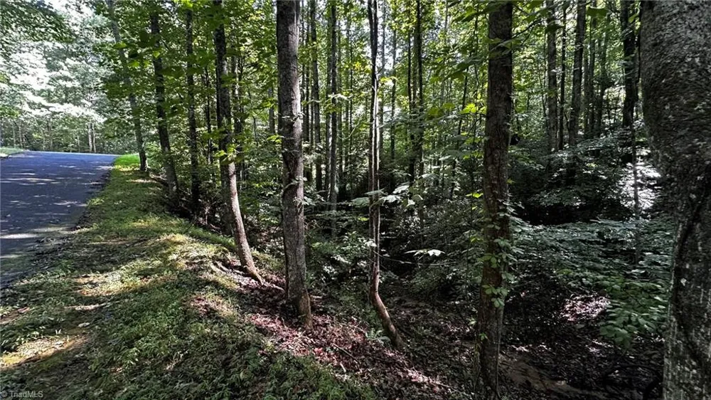 00C Higgins Road Wilkesboro, NC 28697