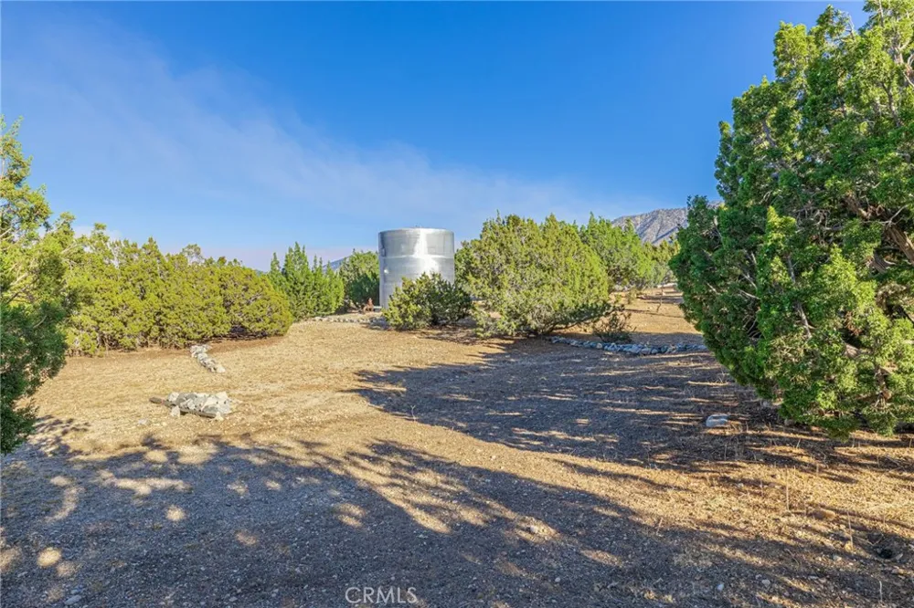 29520 Piani Pearblossom, CA 93553