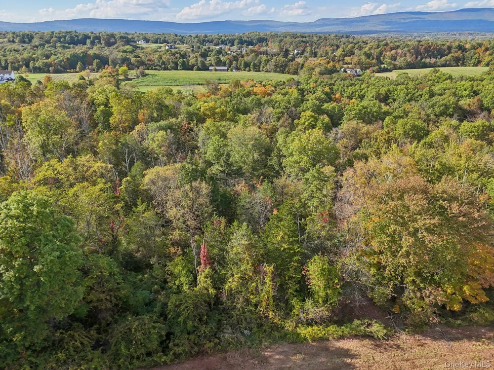 728 State Route 302 Pine Bush, NY 12566