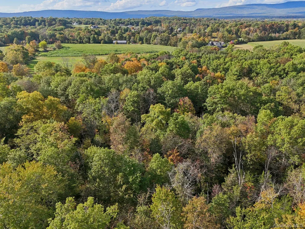 728 State Route 302 Pine Bush, NY 12566