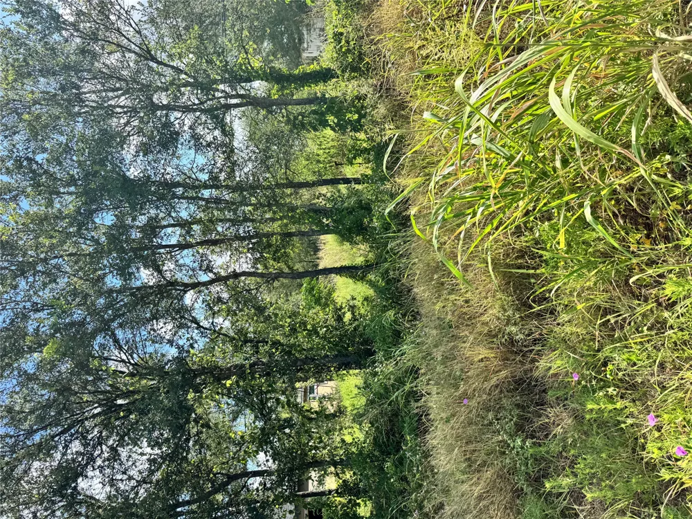 Union Chapel Rd Cedar Creek, TX 78612