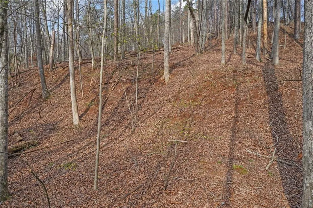 50 Old Stamp Mill Road Dahlonega, GA 30533