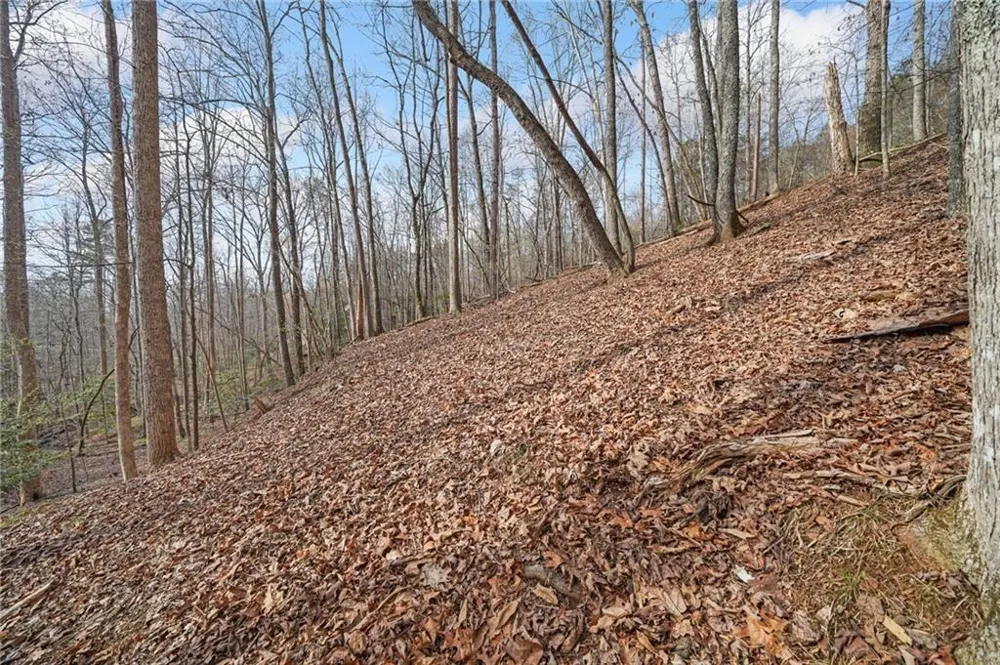 50 Old Stamp Mill Road Dahlonega, GA 30533