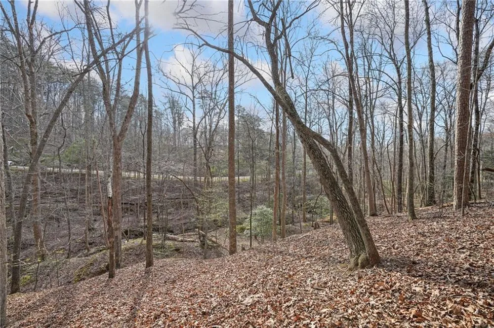50 Old Stamp Mill Road Dahlonega, GA 30533