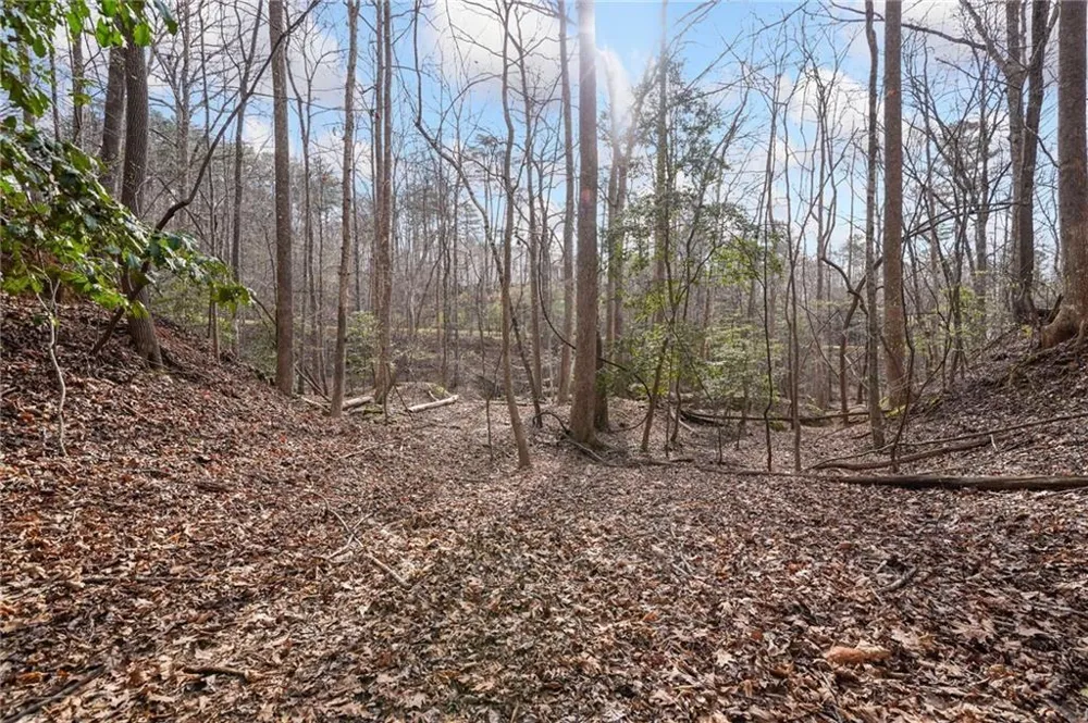 50 Old Stamp Mill Road Dahlonega, GA 30533