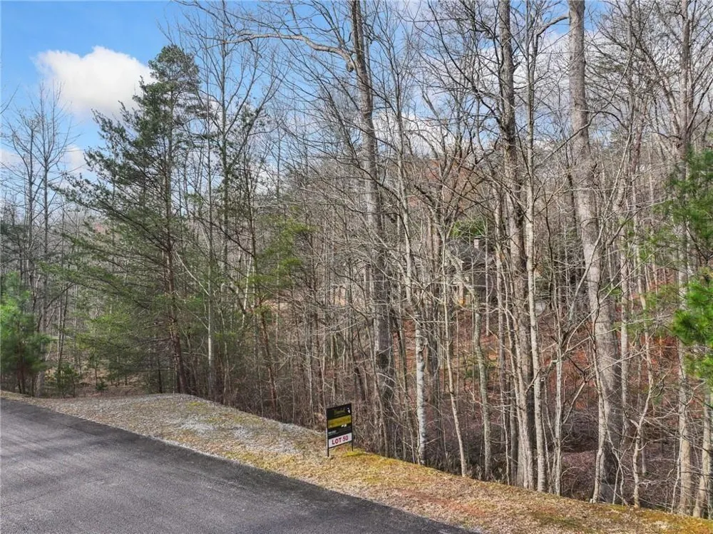 50 Old Stamp Mill Road Dahlonega, GA 30533