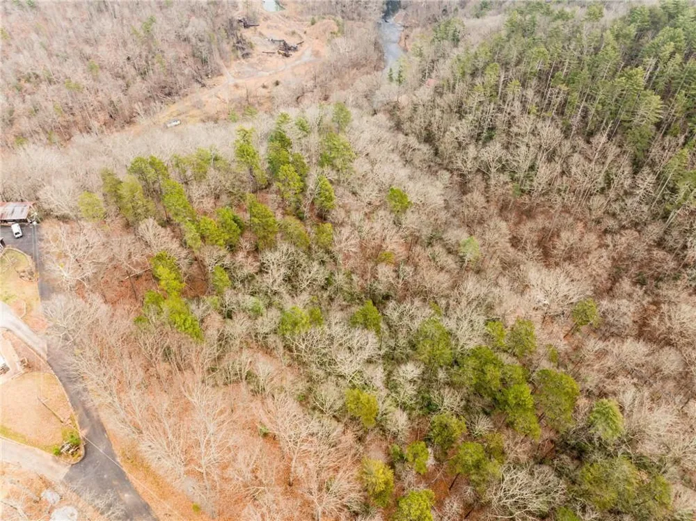 377 Soldiers Path Dahlonega, GA 30533
