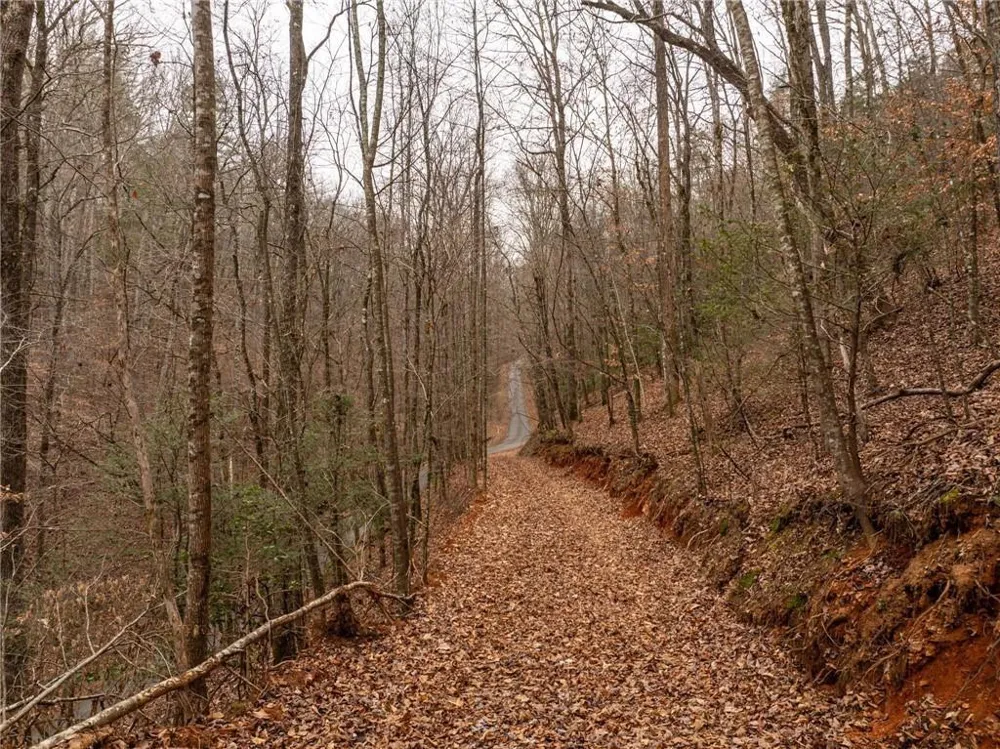 377 Soldiers Path Dahlonega, GA 30533