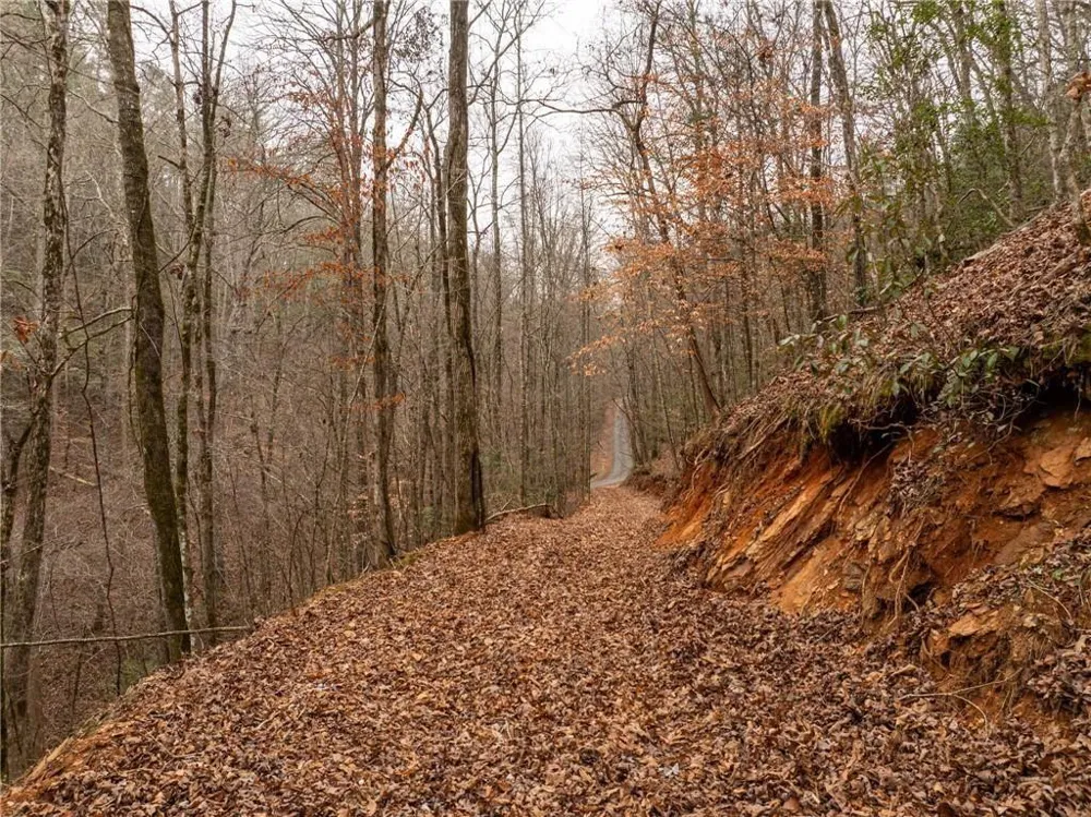 377 Soldiers Path Dahlonega, GA 30533