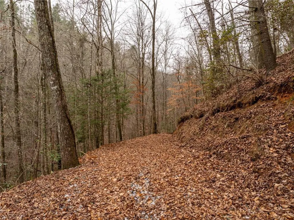 377 Soldiers Path Dahlonega, GA 30533