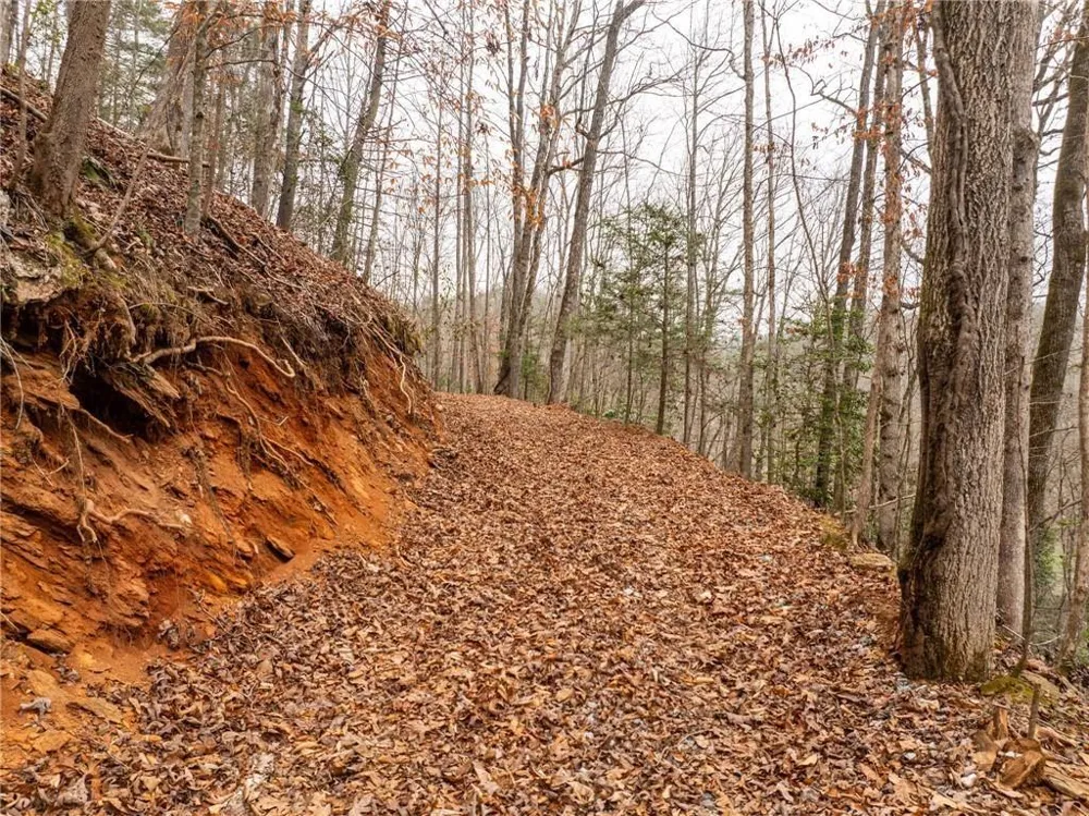 377 Soldiers Path Dahlonega, GA 30533