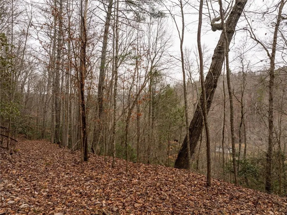 377 Soldiers Path Dahlonega, GA 30533