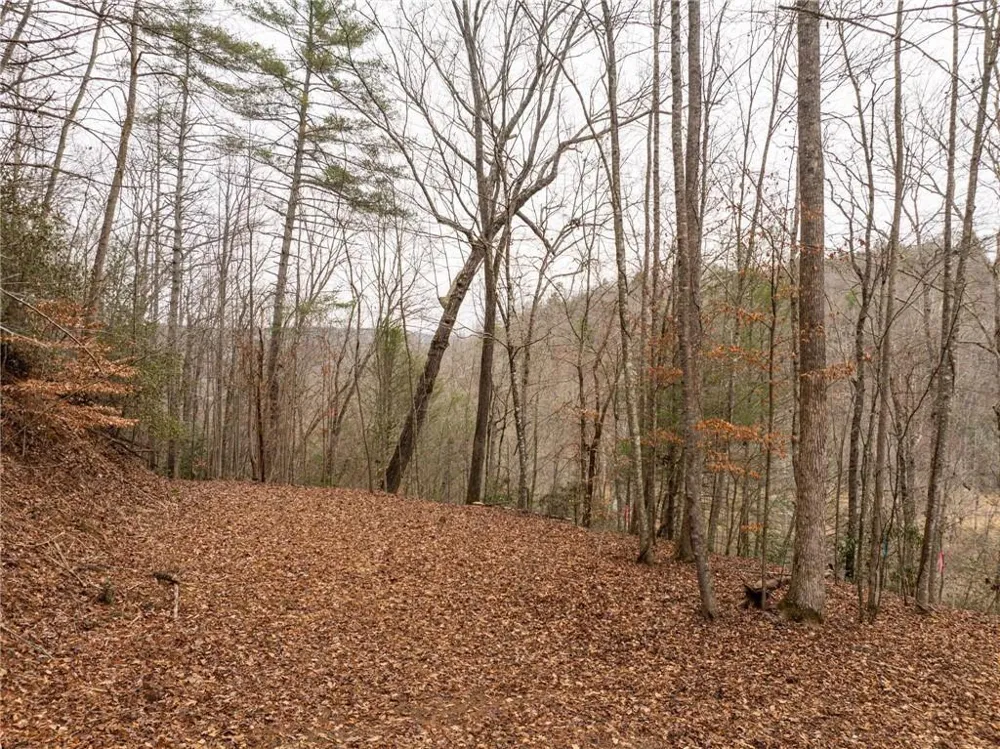 377 Soldiers Path Dahlonega, GA 30533