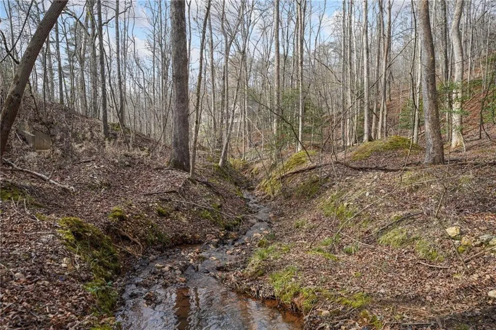 49 Old Stamp Mill Road Dahlonega, GA 30533