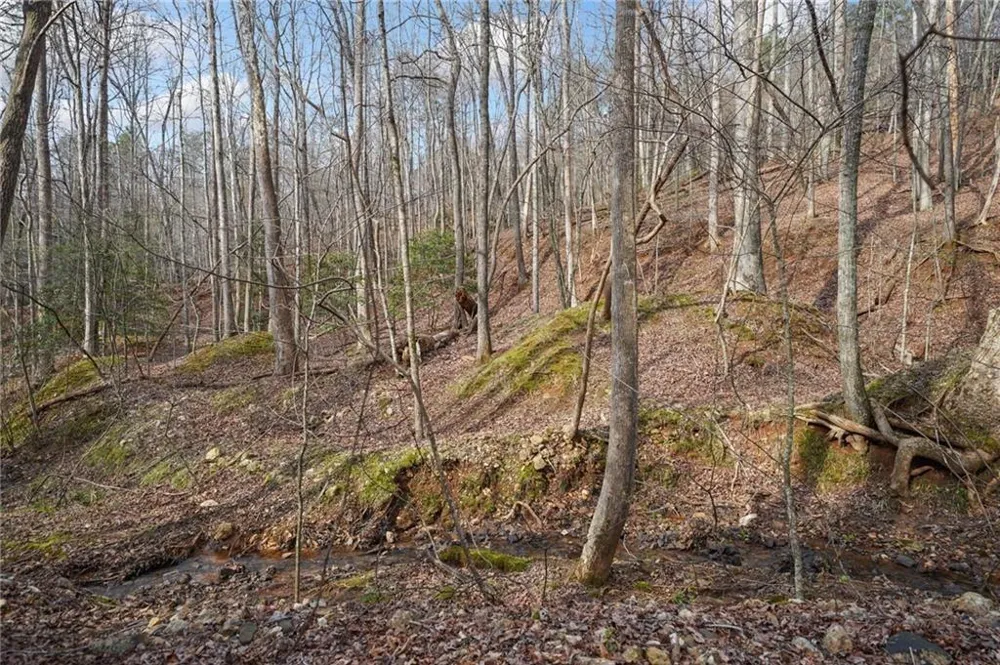 49 Old Stamp Mill Road Dahlonega, GA 30533