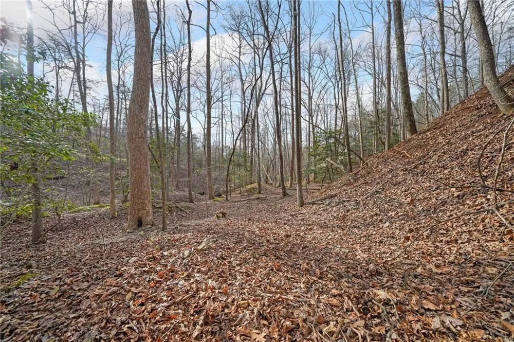 49 Old Stamp Mill Road Dahlonega, GA 30533