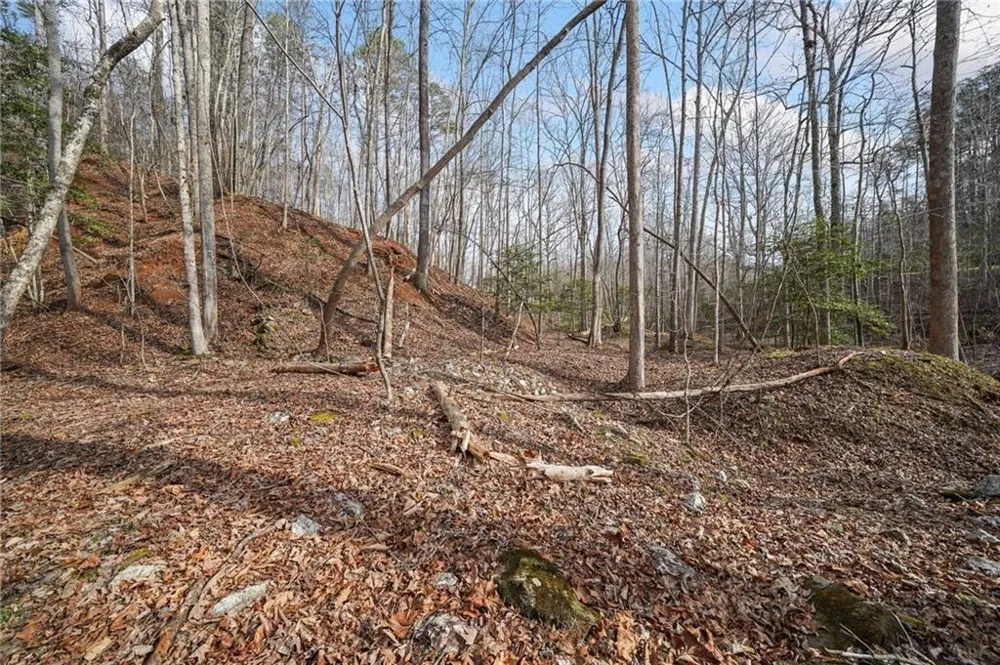 49 Old Stamp Mill Road Dahlonega, GA 30533