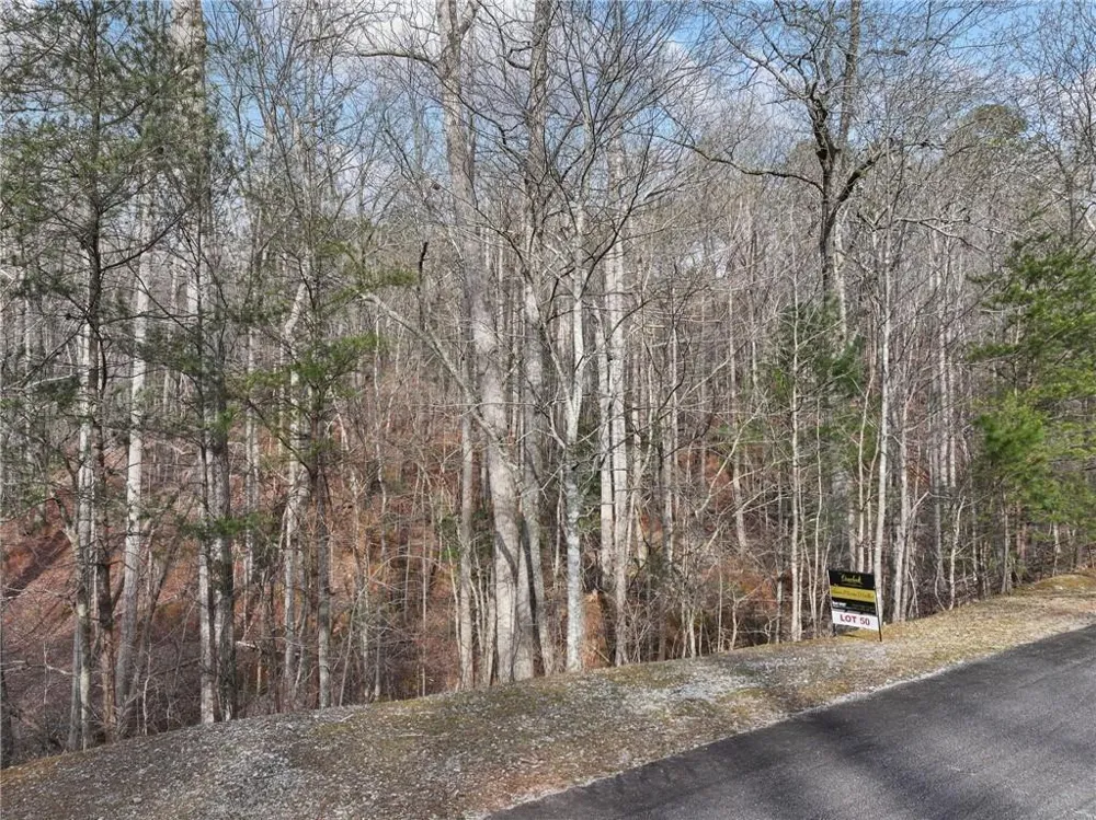 49 Old Stamp Mill Road Dahlonega, GA 30533