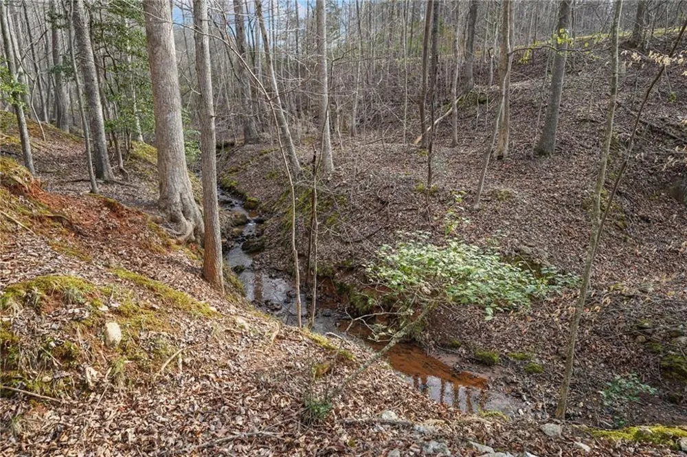 49 Old Stamp Mill Road Dahlonega, GA 30533